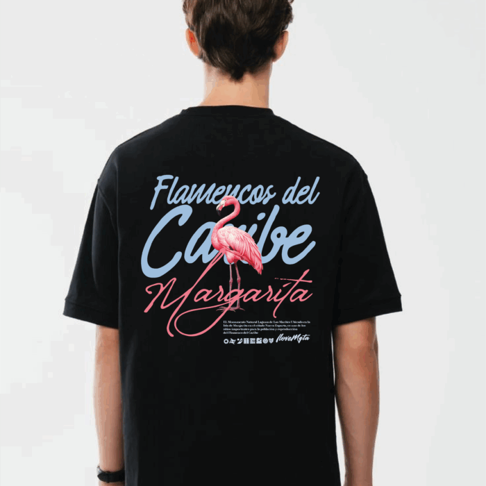 Los Flamencos margariteños